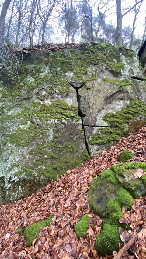 A large, moss-covered rock in a forest. Leaves and some stones are lying on the ground.