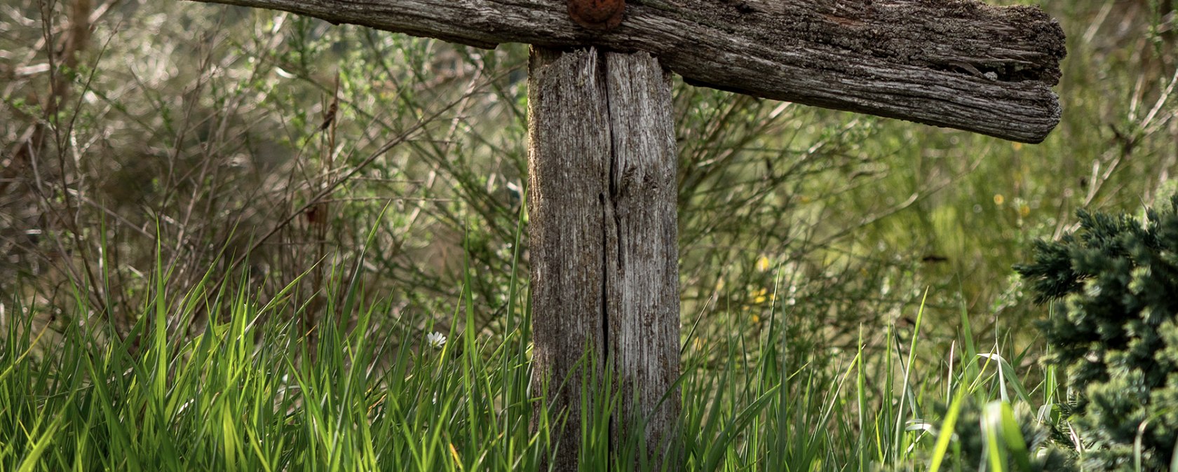 Sur la Ley, &copy; Volker Teuschler