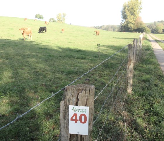 img_8479, &copy; N. Mainz