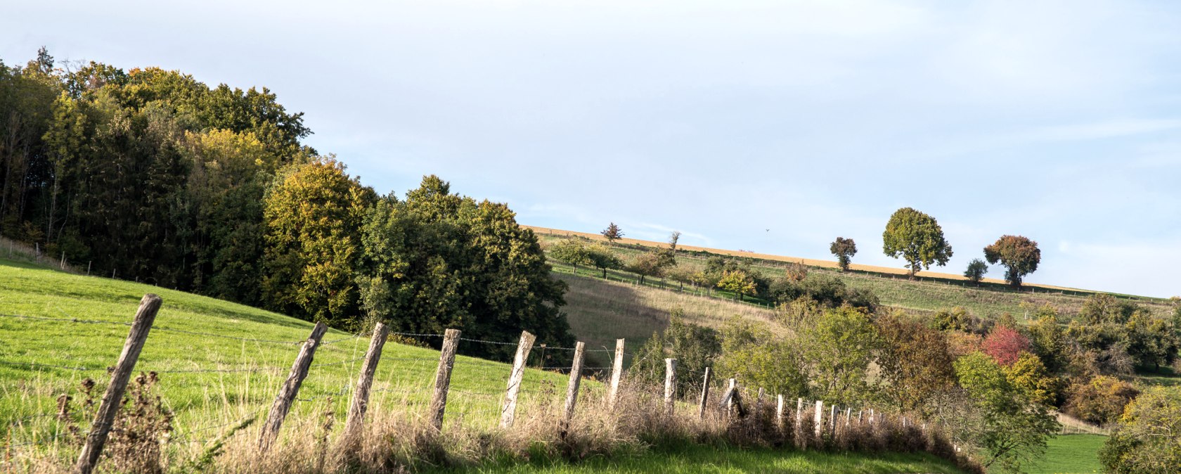 Bitburger LandGang Oberweis(C)TI Bitburger Land_MM (28), &copy; TI Bitburger Land