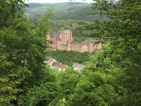 Une vieille ruine de château, entourée de forêts denses. Au premier plan, on peut voir quelques petites maisons.