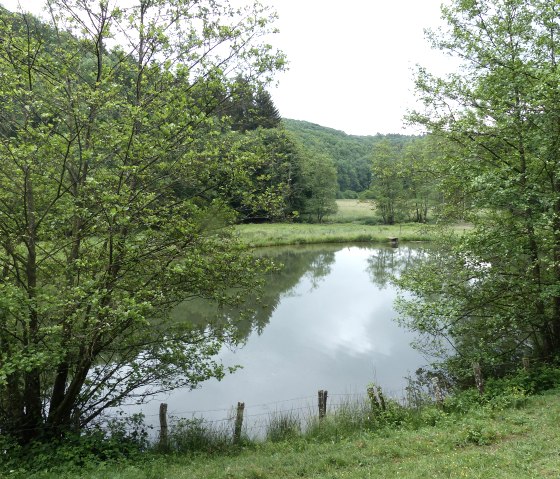 Een idyllische vijver aan het Irsenpfad, omgeven door weelderig groen en bomen, weerspiegelt de hemel. Een vredige, natuurlijke plek., © Tourist-Information Islek, Ingrid Wirtzfeld