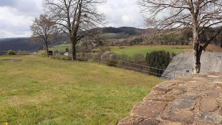 A green meadow with some trees and a gently rolling landscape in the background. The sky is cloudy and there is a calm and peaceful atmosphere.
