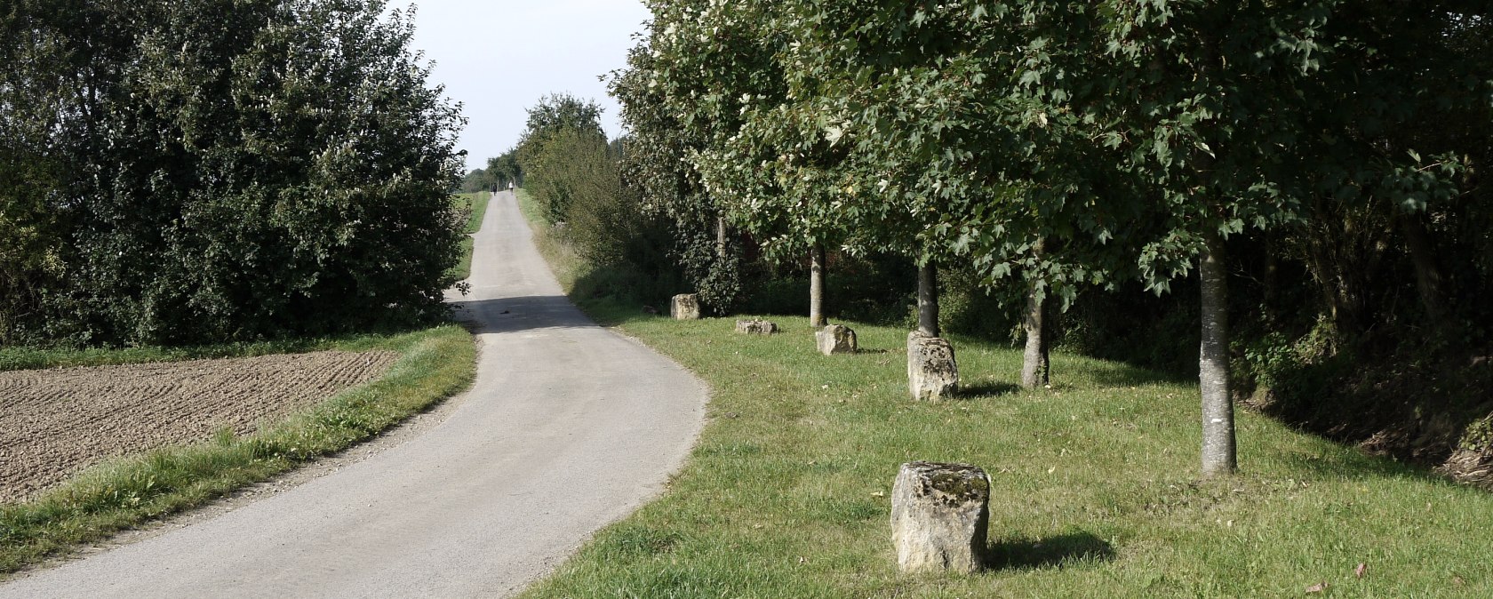 Een geasfalteerd pad baant zich een weg door een groen landschap van bomen en weiden. Stenen omzomen het pad., &copy; Berscheid