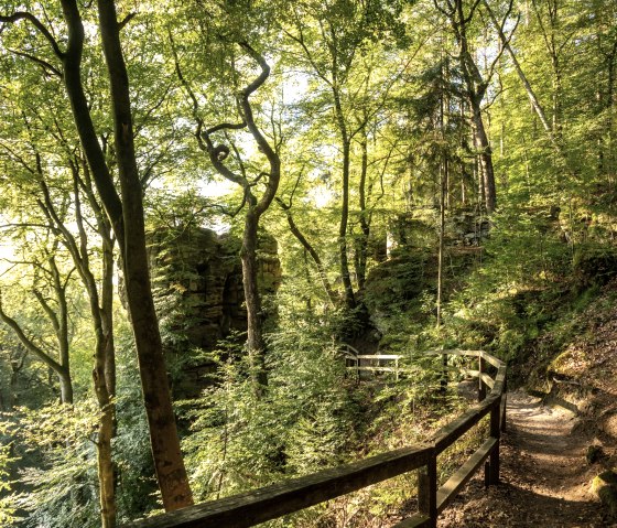 Sentier forestier ensoleill&eacute; avec balustrade, entour&eacute; d'arbres verts et de rochers, pr&egrave;s de la gorge du diable., &copy; Dominik Ketz