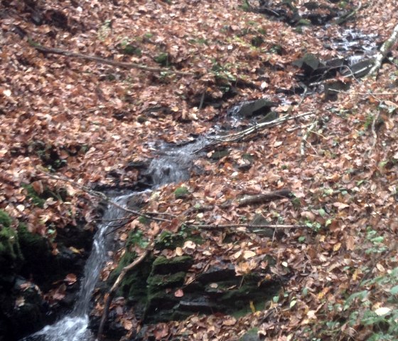 Sentier de randonn&eacute;e n&deg; 21 dans la vall&eacute;e de l'Ehlenz, &copy; Harald Geimer