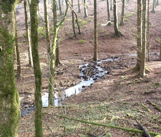 M&uuml;hlbach, &copy; Tourist-Information Islek