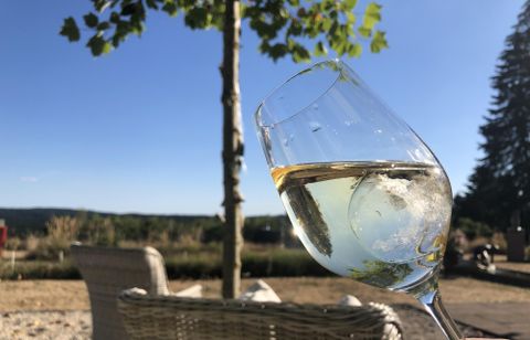 Ein Weinglas mit weißem Wein schimmert im Sonnenlicht. Im Hintergrund sind Bäume und eine entspannte Landschaft zu sehen.