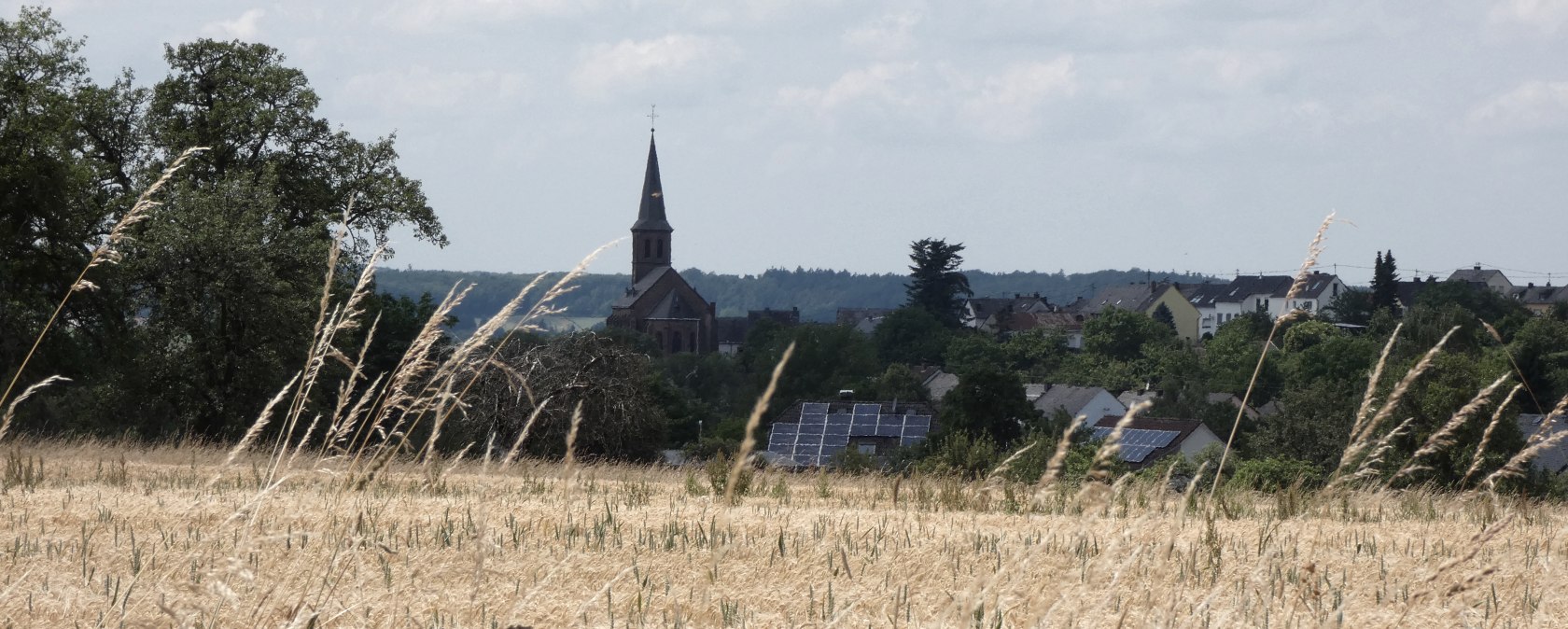 Ein Getreidefeld im Vordergrund, dahinter eine Kirche und H&auml;user mit Solarpanels in Orenhofen, umgeben von B&auml;umen und blauem Himmel., &copy; TI Bitburger Land