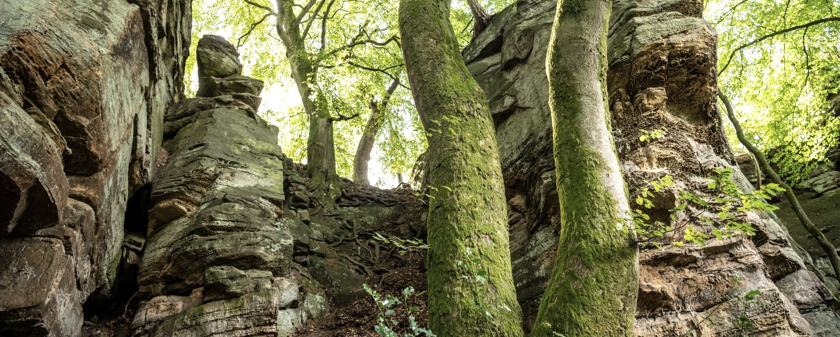 Rocher près du passage Mandrack dans le NaturWanderPark delux, © Eifel Toursimus GmbH, D. Ketz