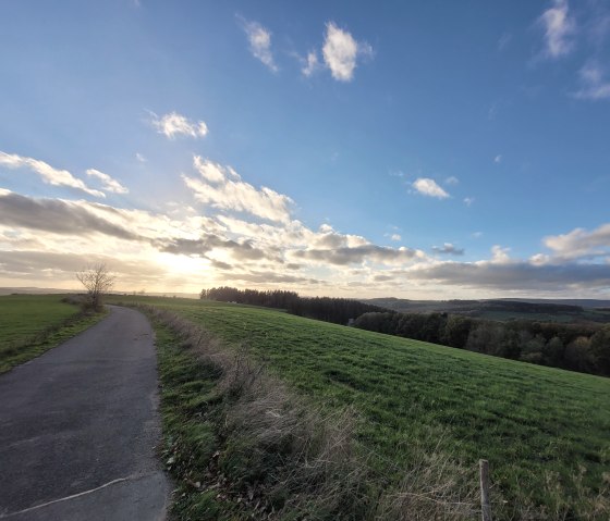 Herbstspaziergang Pr&uuml;m 2022_Sebastian Wiesen (7), &copy; Tourist-Information Pr&uuml;mer Land, Sebastian Wiesen
