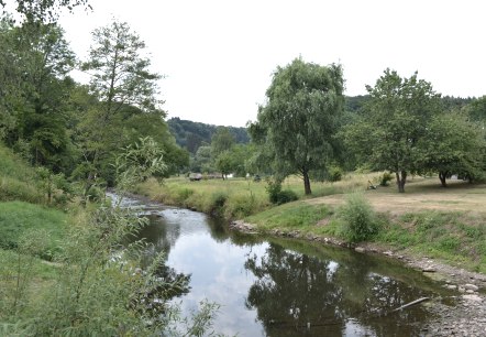 Une petite rivi&egrave;re coule &agrave; travers un paysage verdoyant d'arbres et de prairies &agrave; Wi&szlig;mannsdorf., &copy; TI Bitburger Land