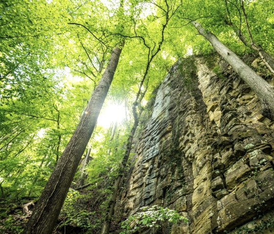Indrukwekkende rotswand in de Wolfsschlucht-kloof op Felsenweg 3, &copy; Eifel Tourismus GmbH, D. Ketz