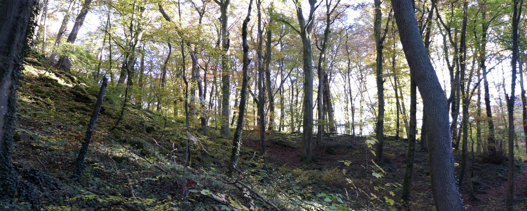 mertert-weg-1-1, &copy; Deutsch Luxemburgische Tourist Info