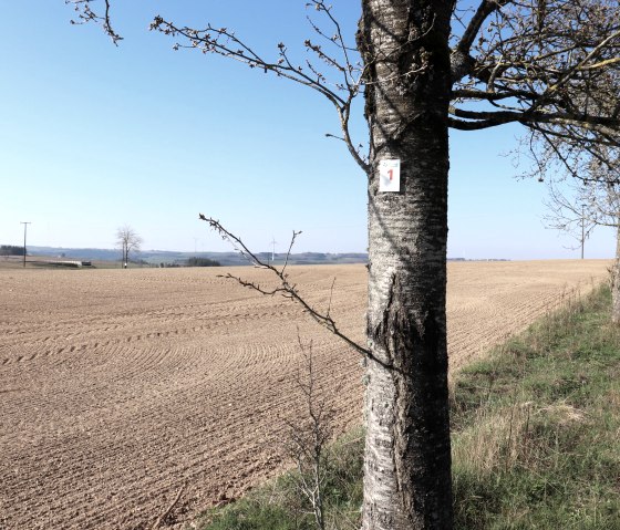 Sentier de randonn&eacute;e 1, &copy; Tourist-Info Islek