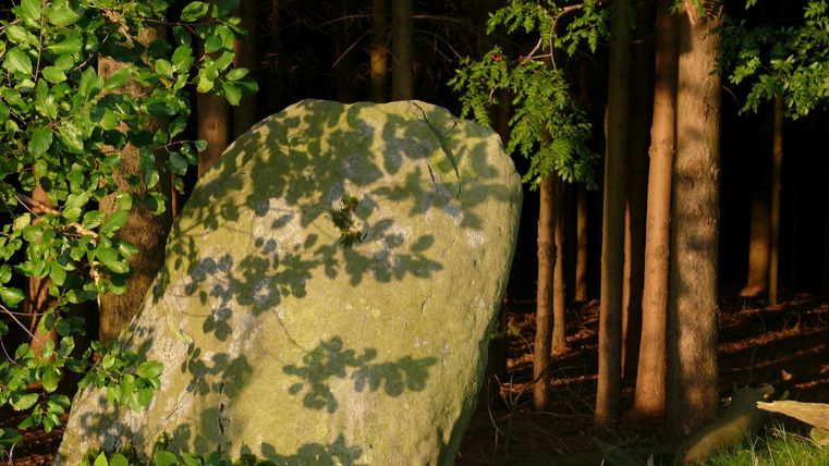 Ein großer Stein steht im Vordergrund, umgeben von Bäumen und Sträuchern. Die Schatten der Blätter fallen schön auf die Oberfläche des Steins.
