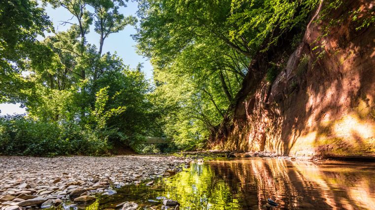 Vue sur une paroi de grès bigarré avec des arbres et un petit ruisseau au premier plan.