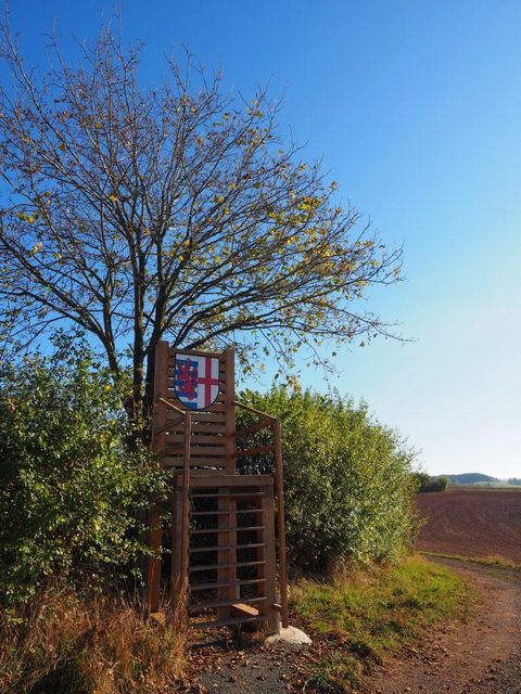 A path with a lookout tower and a tree beside it. The sky is clear and blue.