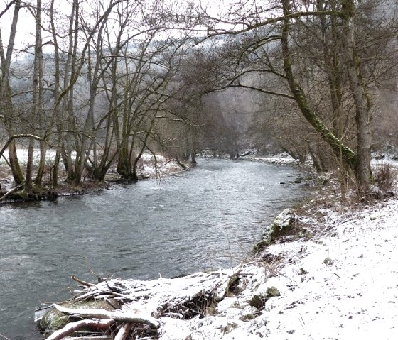 Un cours d'eau enneig&eacute; avec des arbres d&eacute;nud&eacute;s sur les rives. Le chemin qui longe la rivi&egrave;re est &eacute;galement recouvert de neige., &copy; Eifelverein Ortsgruppe Speicher