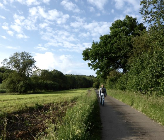 Personne sur un chemin rural, entour&eacute;e d'arbres verts et de prairies, sous un ciel bleu avec des nuages., &copy; Elke Wagner, Felsenland S&uuml;deifel Tourismus GmbH