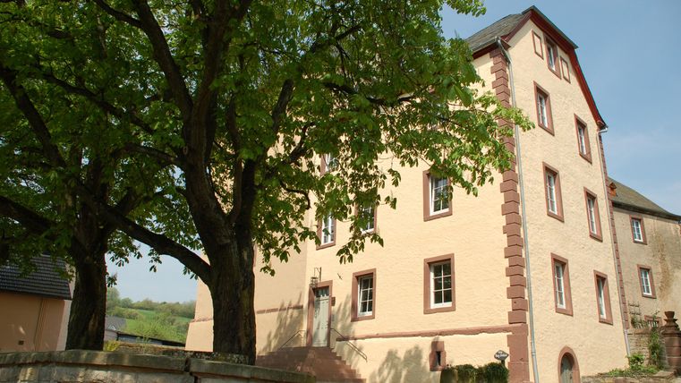 Ein historisches Gebäude mit einer hellen Fassade und einem gepflasterten Eingang. Im Vordergrund steht ein großer Baum, der Schatten spendet.