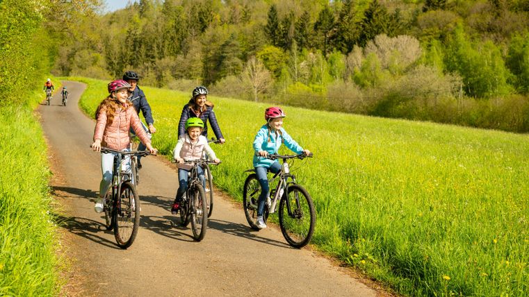 Un groupe de cinq personnes fait du vélo sur un chemin entouré de prairies vertes. C'est une journée ensoleillée et l'ambiance est joyeuse.