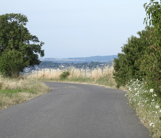 Eine asphaltierte Landstra&szlig;e f&uuml;hrt durch eine gr&uuml;ne Landschaft mit B&auml;umen und Wiesen. Im Hintergrund ist eine Stadt zu sehen., &copy; Thomas Neises