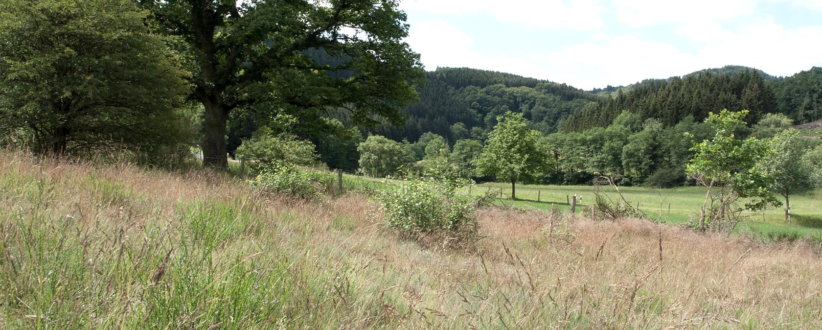 Des prairies vertes avec des arbres et des collines en arri&egrave;re-plan sous un ciel bleu avec des nuages., &copy; V. Teuschler