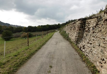 Egel 5, &copy; Nicole Zimmer