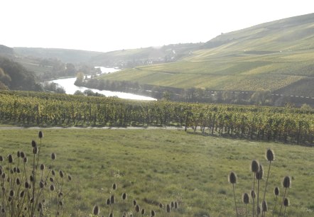 moselle-4_1, &copy; Deutsch Luxemburgische Tourist Information