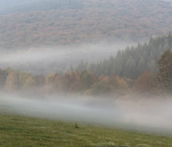 Herbstliche Landschaft mit nebelverhangenen Wäldern und Wiesen. Die Bäume zeigen bunte Herbstfarben, während Nebel über die Szenerie zieht., © Naturpark Südeifel, P. Haas