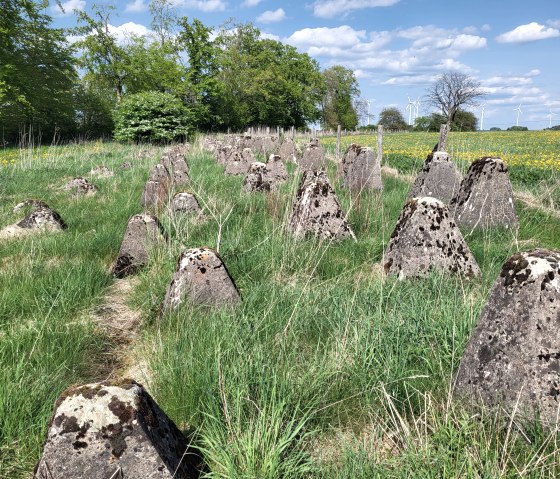 Westwall Wanderweg_TI Islek (5), &copy; TI Islek