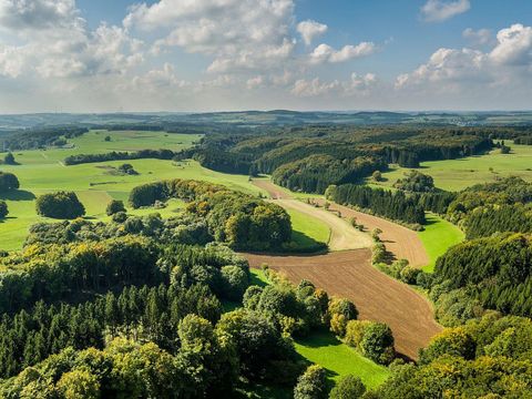 Een uitgestrekt landschap met zachte heuvels, bossen en weilanden. De lucht is blauw met enkele wolken.