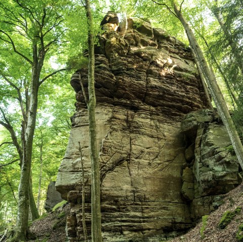Felsformation bei Bollendorf, © Eifel Tourismus GmbH / Dominik Ketz