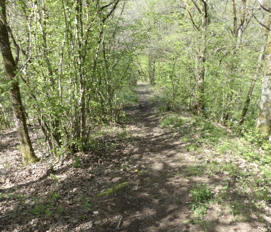 Pad naar de Dierbach, &copy; Tourist-Information Islek