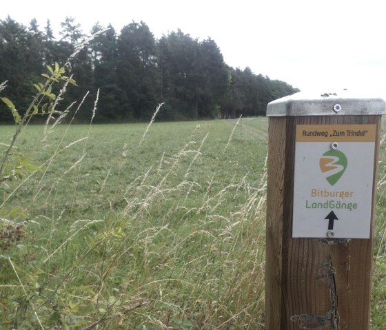 Paal met markeringsbord Bitburger LandGang, &copy; TI Bitburger Land