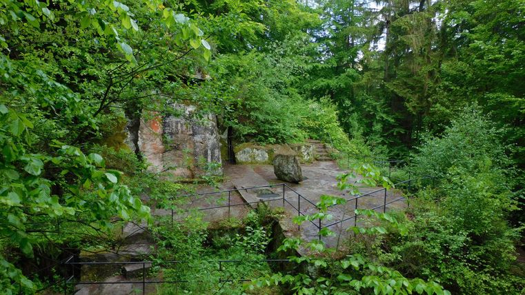Eine grüne Waldlandschaft mit dichtem Laub und hohen Bäumen. Felsen und eine kleine Plattform sind von Pflanzen umgeben.