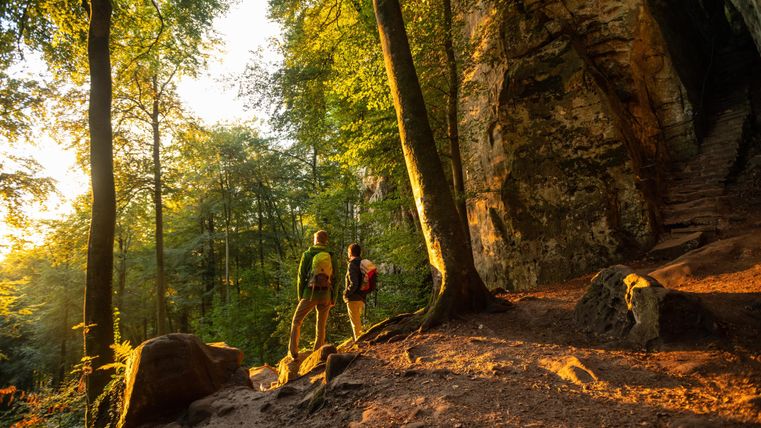 Zwei Wanderer stehen in einem Wald, umgeben von hohen Bäumen und sanftem Sonnenlicht. Der Boden ist mit Erde und Steinen bedeckt, während eine Felswand im Hintergrund sichtbar ist.