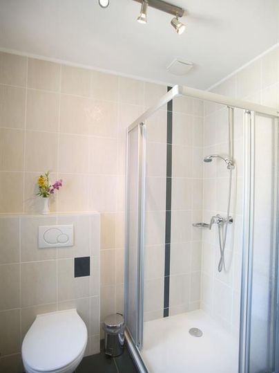 A modern bathroom with a shower and toilet. The walls are in neutral colors, and a small plant adds color to the room.