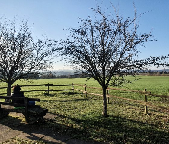 Eine Person sitzt auf einer Bank unter zwei kahlen B&auml;umen, blickt &uuml;ber eine gr&uuml;ne Wiese. Der Himmel ist klar und blau., &copy; TI Bitburger Land - Steffi Wagner
