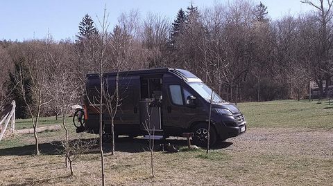 Ein Wohnmobil steht auf einem grünen Feld, umgeben von kleinen Bäumen. Im Hintergrund sind kahle Bäume und ein klarer Himmel zu sehen.