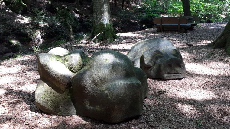 Eine natürliche Umgebung mit großen, runden Steinen im Wald. Im Hintergrund ist eine Bank zu sehen.