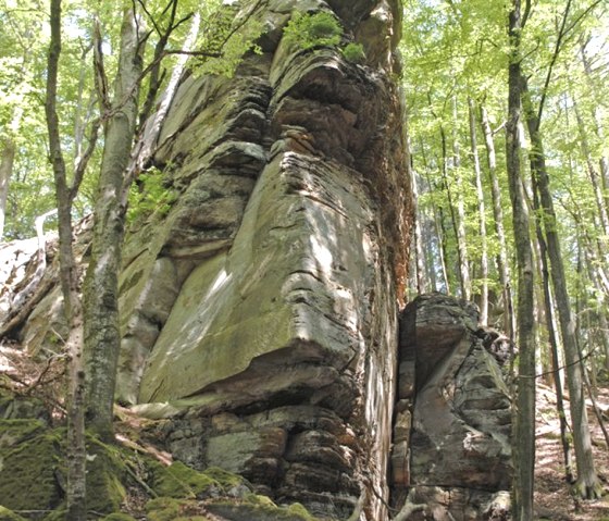 Environs