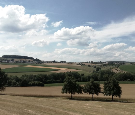 Vaste paysage avec des champs, des arbres et un ciel bleu avec des nuages blancs dans la vall&eacute;e du Kannenbach., &copy; Tourist-Information Bitburger Land