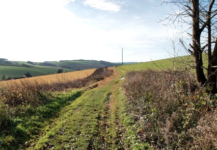Na de regen, &copy; Volker Teuschler