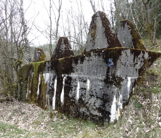 Deel van de bochellijn, &copy; Tourist-Information Islek