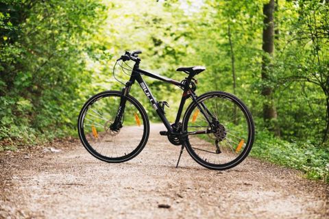 A bicycle is parked on a gravel path through a green forest. The surroundings are lush with trees and plants.
