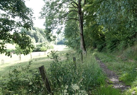 In de Lammbach Vallei, &copy; V. Teuschler