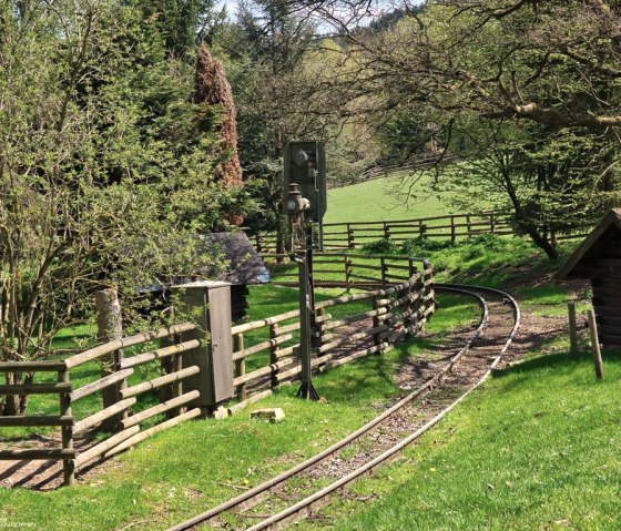 Zoo04, &copy; Eifel-Zoo, Wallpott