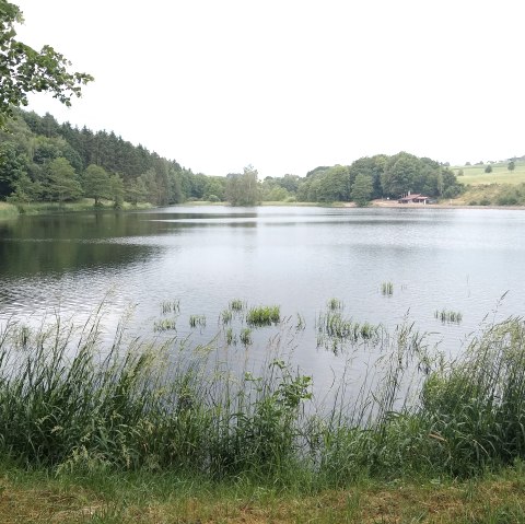 Barri&egrave;revrije tocht door stuwmeer Auw_Indra Schaperdoth (21), &copy; Indra Schaperdoth